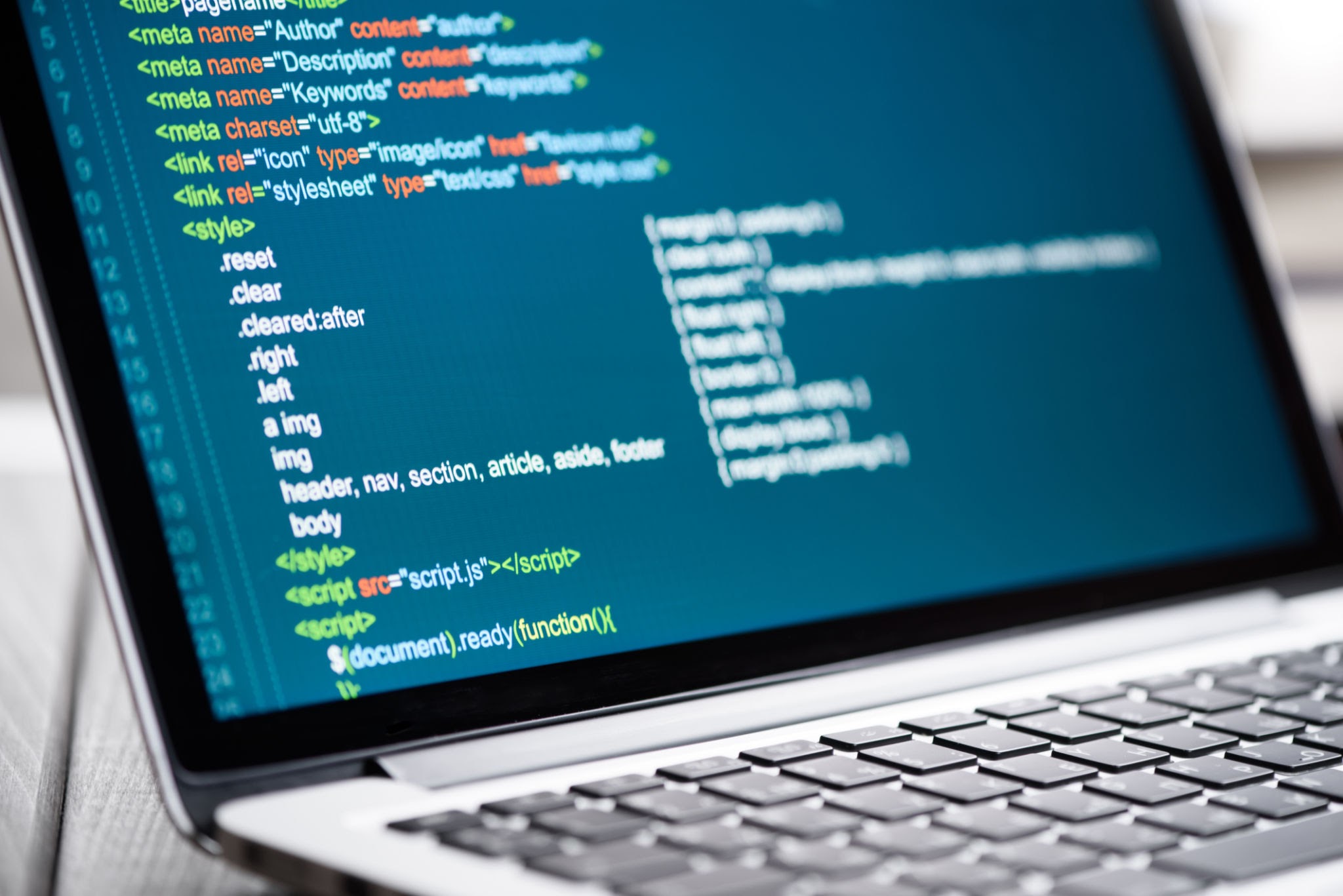 Web Design Bootcamp: HTML, CSS, WordPress & JavaScript